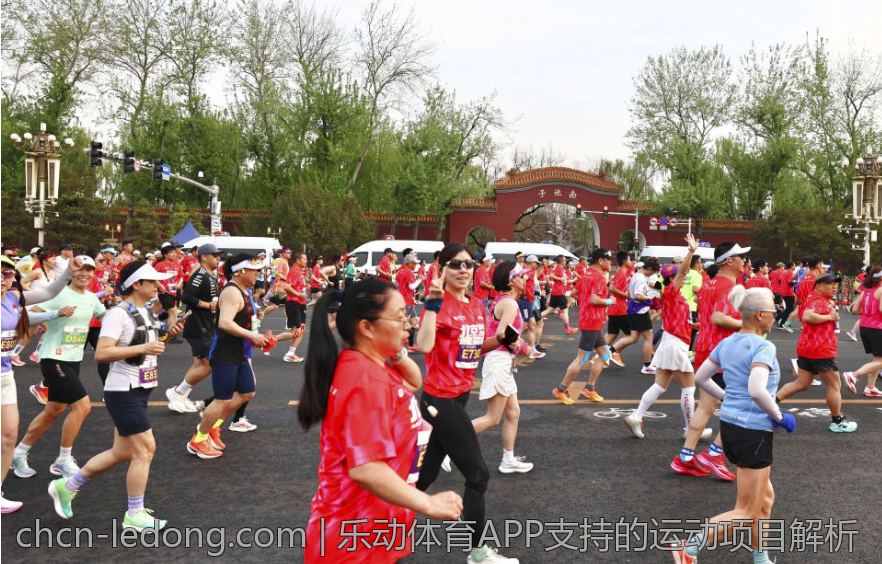 乐动体育APP支持的运动项目解析